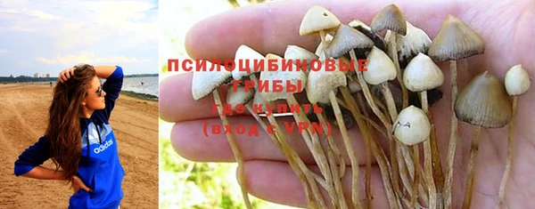 не бодяженный Баксан