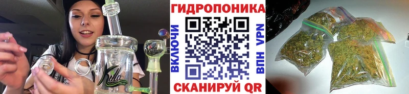 кракен ТОР  Петухово  Бошки марихуана VHQ  что такое  